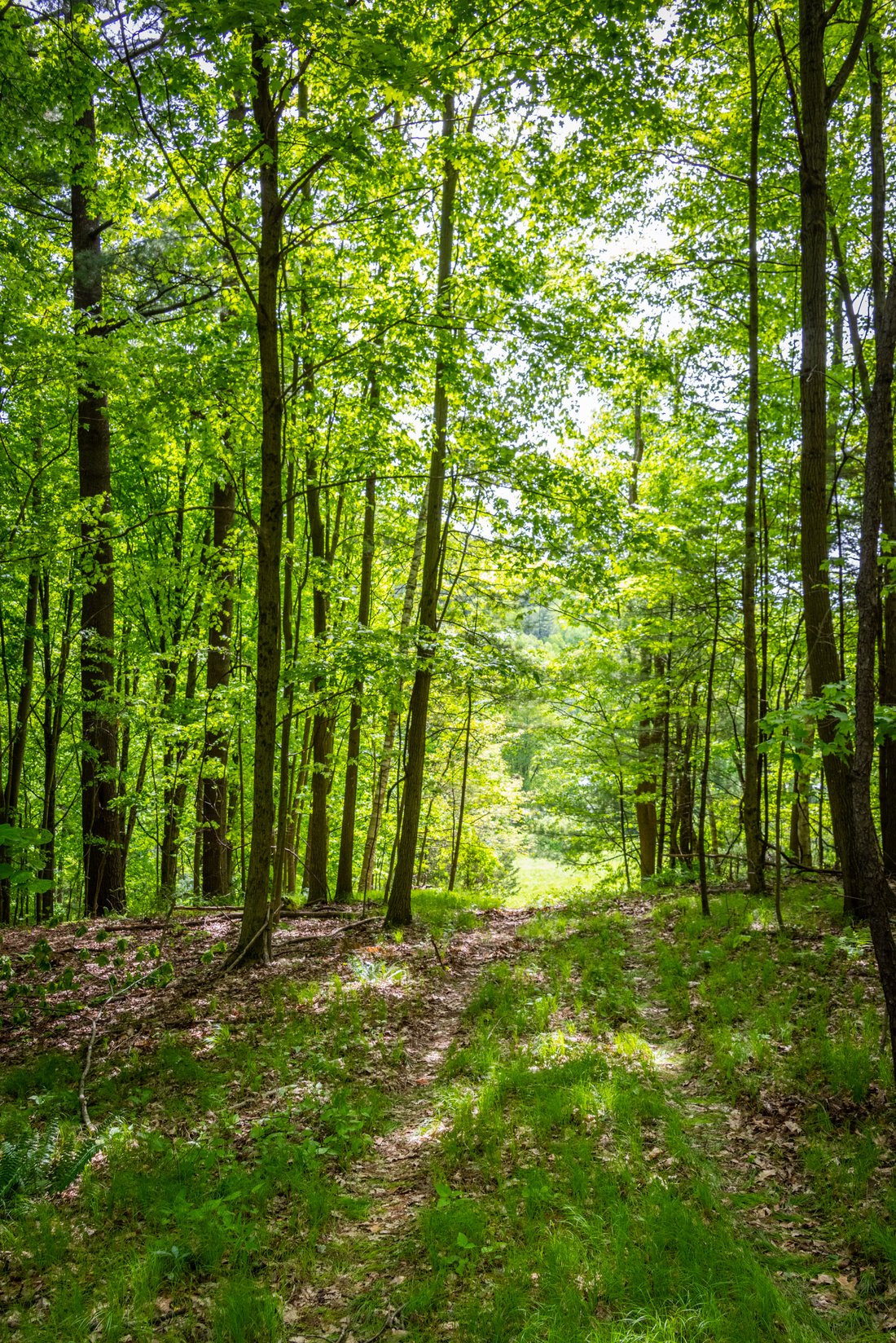 Land in Canaan, Connecticut, United States 3 - 18220401