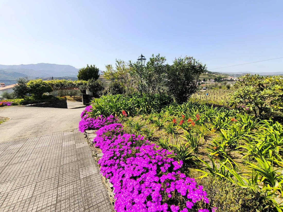 Estate in Cumeeira, Vila Real District, Portugal 1 - 18220795
