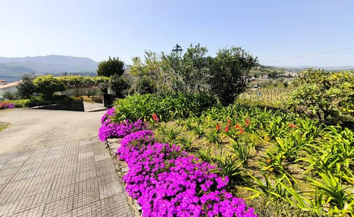 Tenuta a Cumeeira, Distretto di Vila Real, Portogallo 1