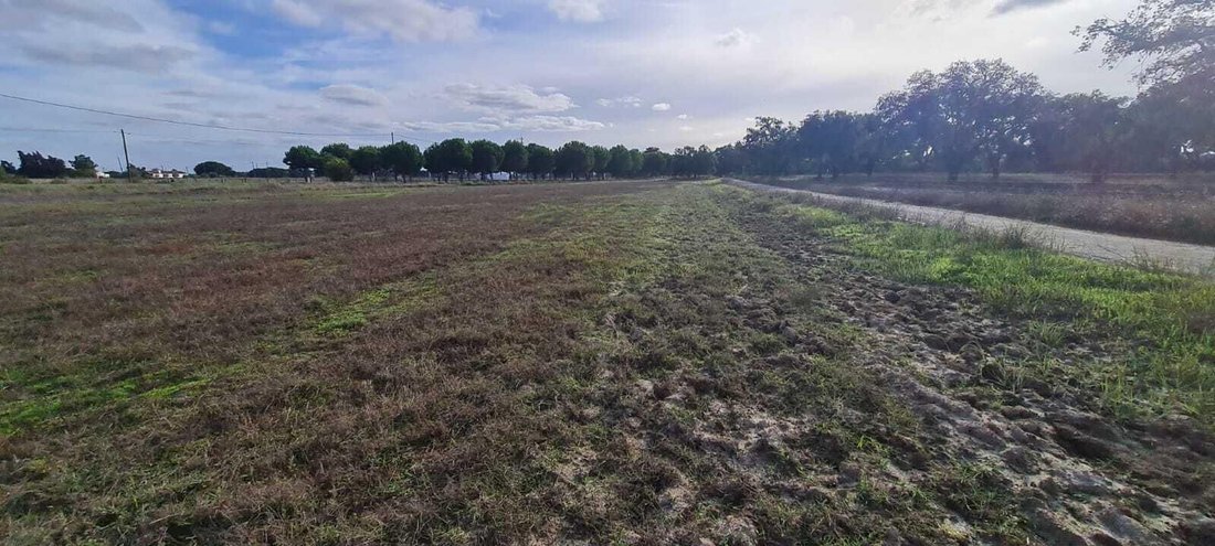 Land in Grandola e Santa Margarida da Serra, Setubal, Portugal 4 - 18220719