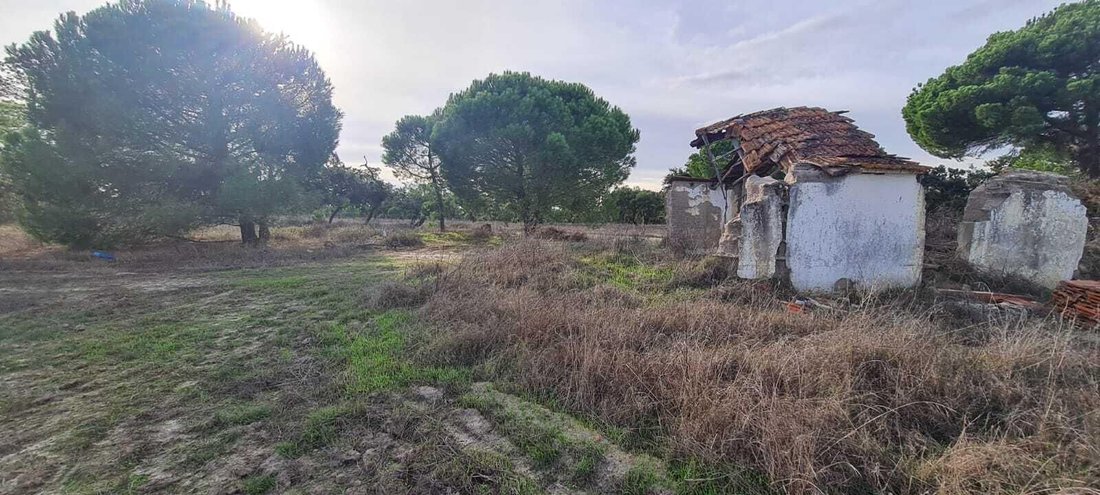 Land in Grandola e Santa Margarida da Serra, Setubal, Portugal 1 - 18220719
