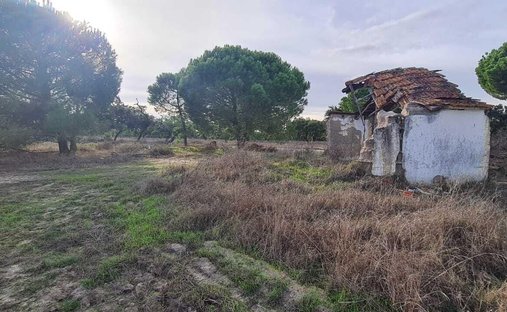 Land in Grandola e Santa Margarida da Serra, Setubal, Portugal 1