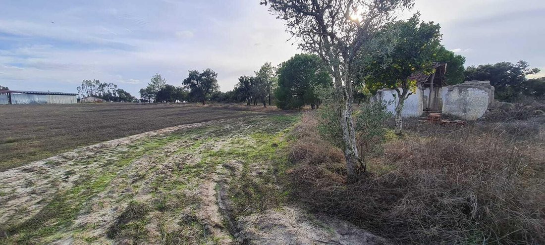 Land in Grandola e Santa Margarida da Serra, Setubal, Portugal 5 - 18220719