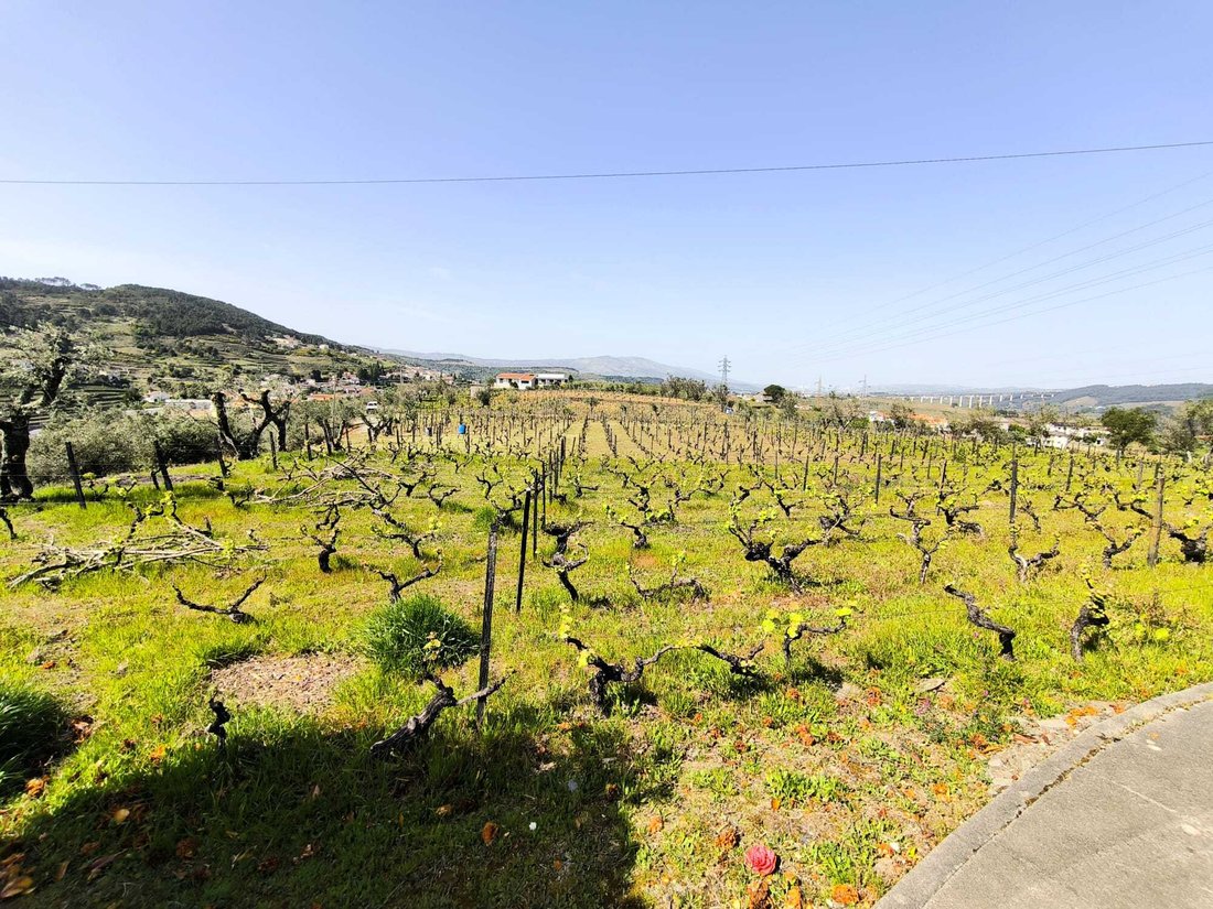 Estate in Cumeeira, Vila Real District, Portugal 2 - 18220795