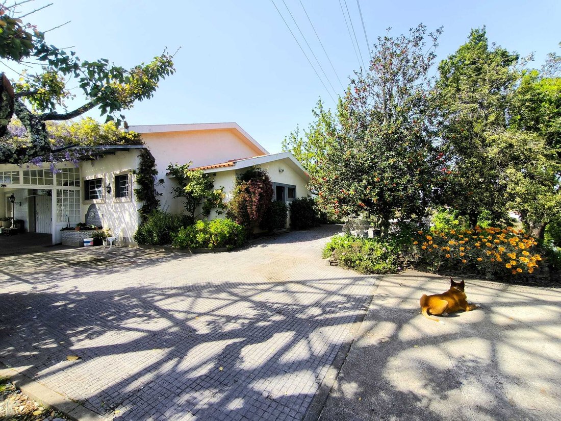 Estate in Cumeeira, Vila Real District, Portugal 5 - 18220795
