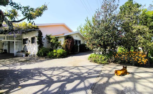 Anwesen in Cumeeira, Vila Real, Portugal 1