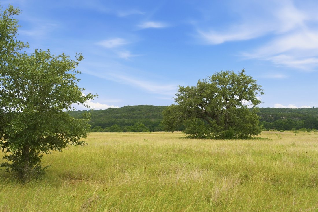 Farm Ranch in Hunt, Texas, United States 4 - 18220654
