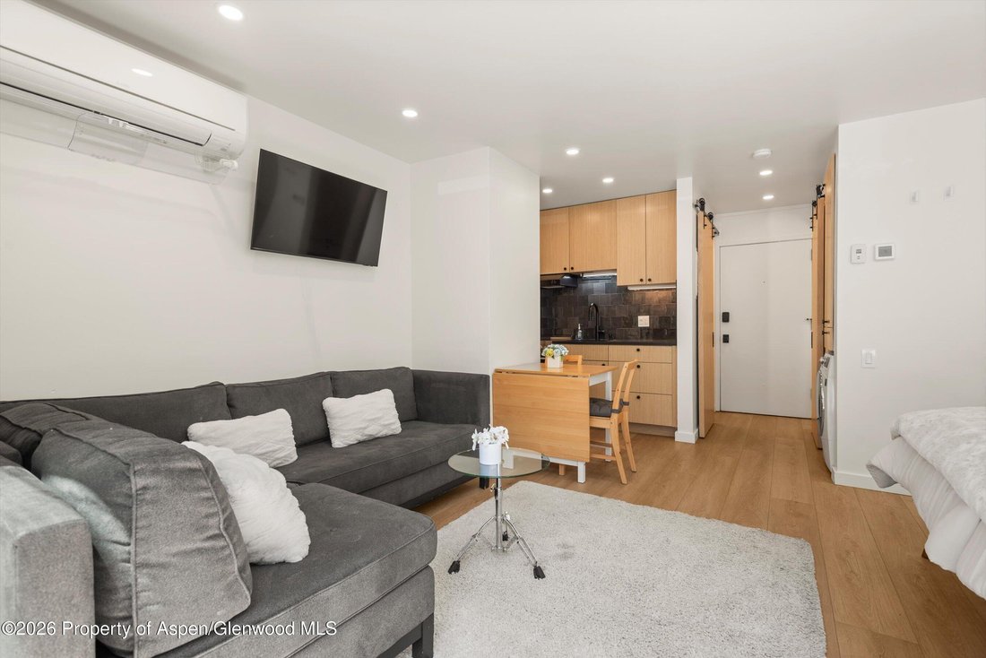 Condo in Aspen, Colorado, United States 5 - 18220868