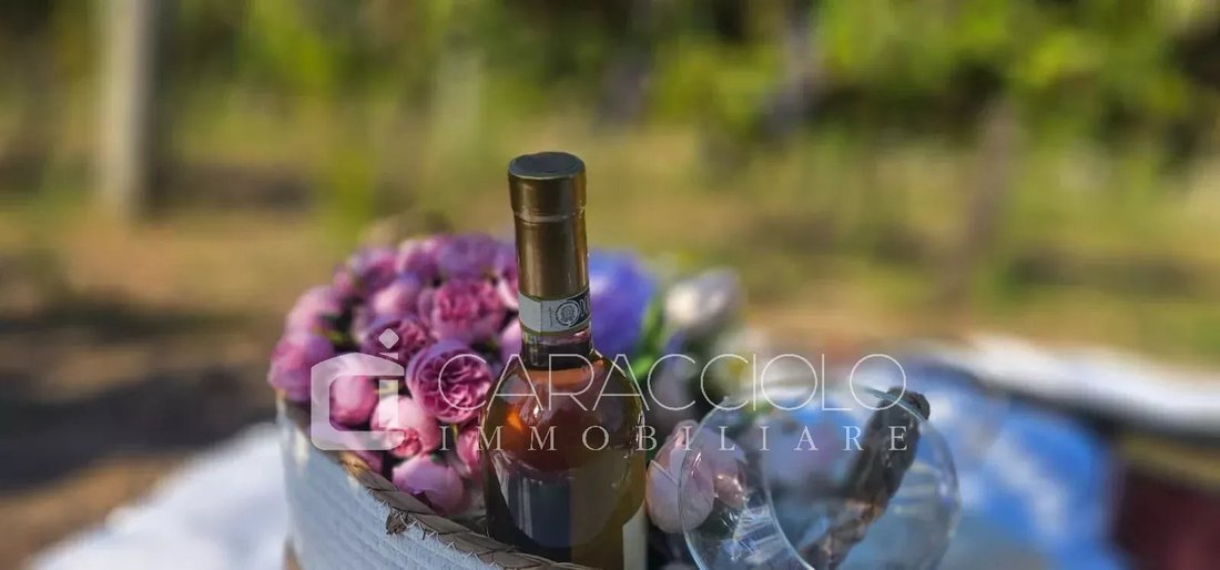Domaine à Porto Rotondo, Olbia, Sardaigne 3 - 18220658
