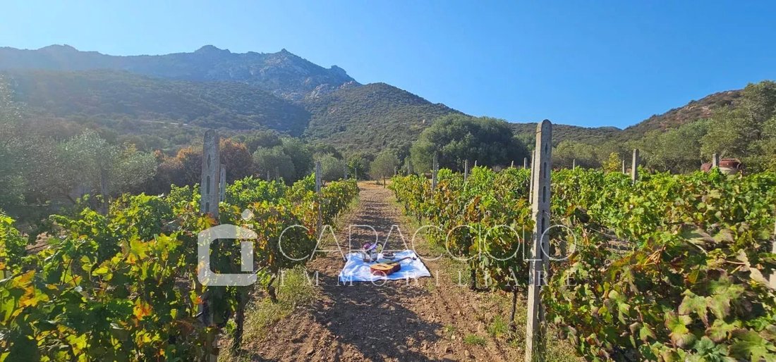 Domaine à Porto Rotondo, Olbia, Sardaigne 1 - 18220658