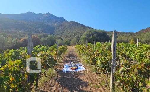 Domaine à Porto Rotondo, Olbia, Sardaigne 1