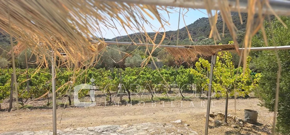 Domaine à Porto Rotondo, Olbia, Sardaigne 4 - 18220658