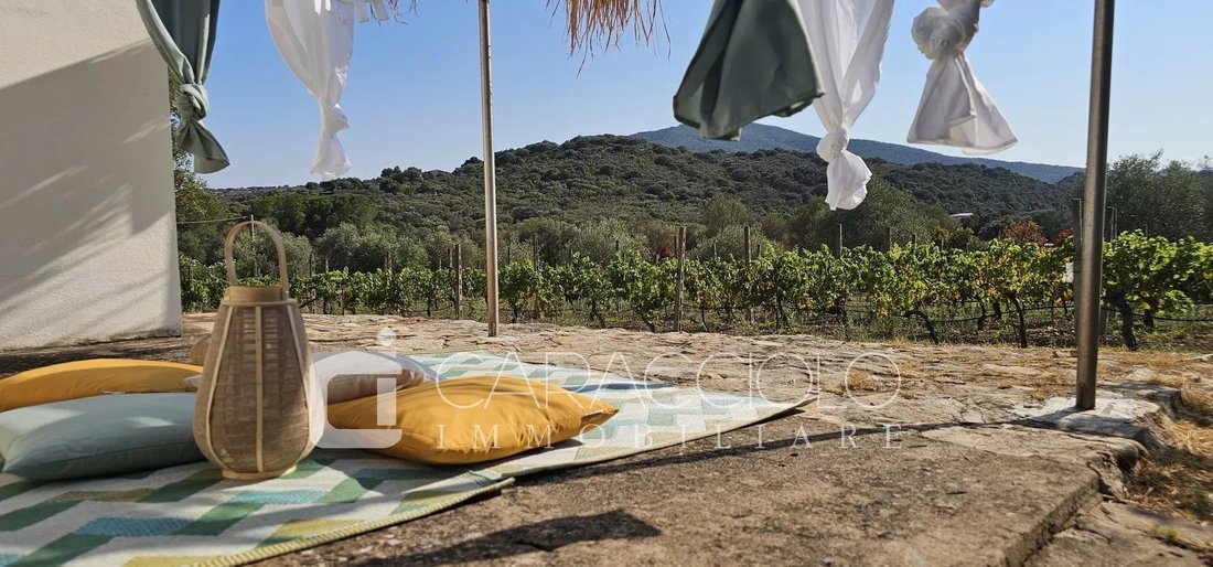 Domaine à Porto Rotondo, Olbia, Sardaigne 5 - 18220658