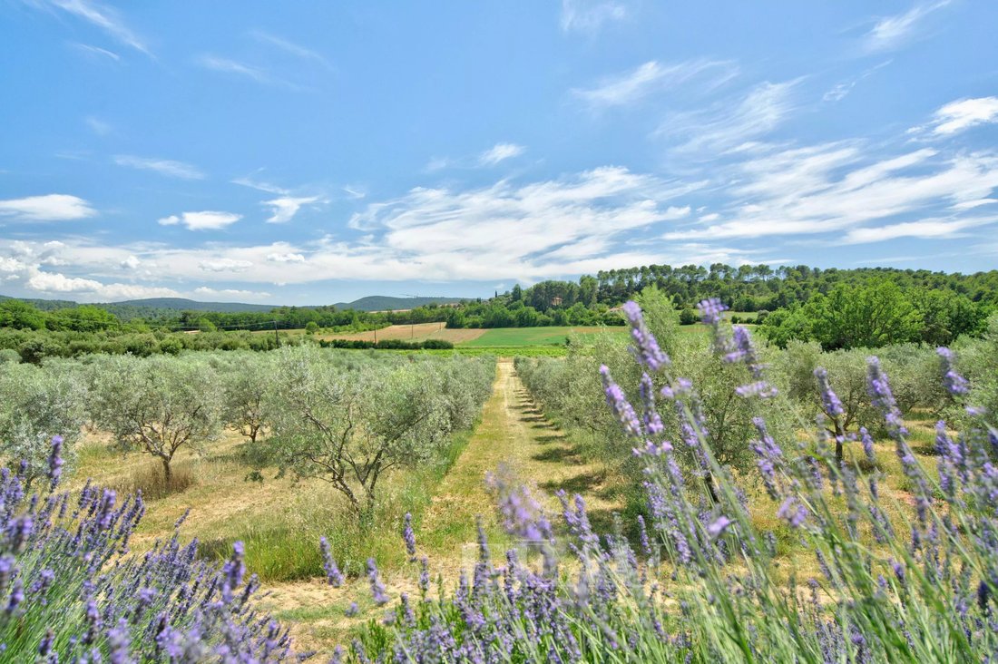 House in La Bastide-des-Jourdans, Provence-Alpes-Côte d'Azur, France 2 - 18220709