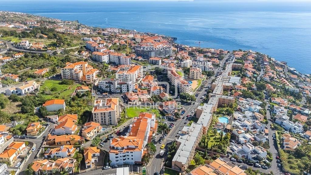 Reed, Madeira, Portugal 2 - 18221361