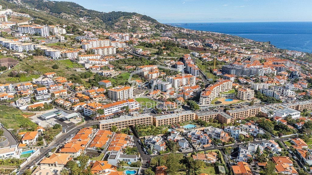 Reed, Madeira, Portugal 4 - 18221361