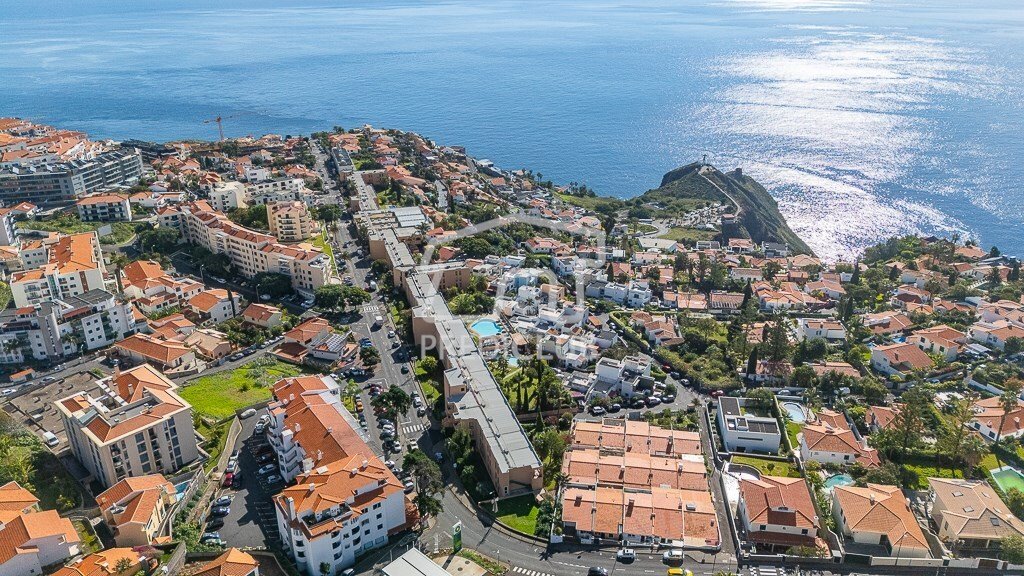 Reed, Madeira, Portugal 1 - 18221361