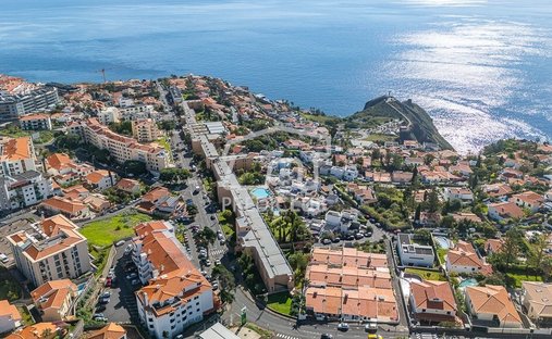 Reed, Madeira, Portugal 1