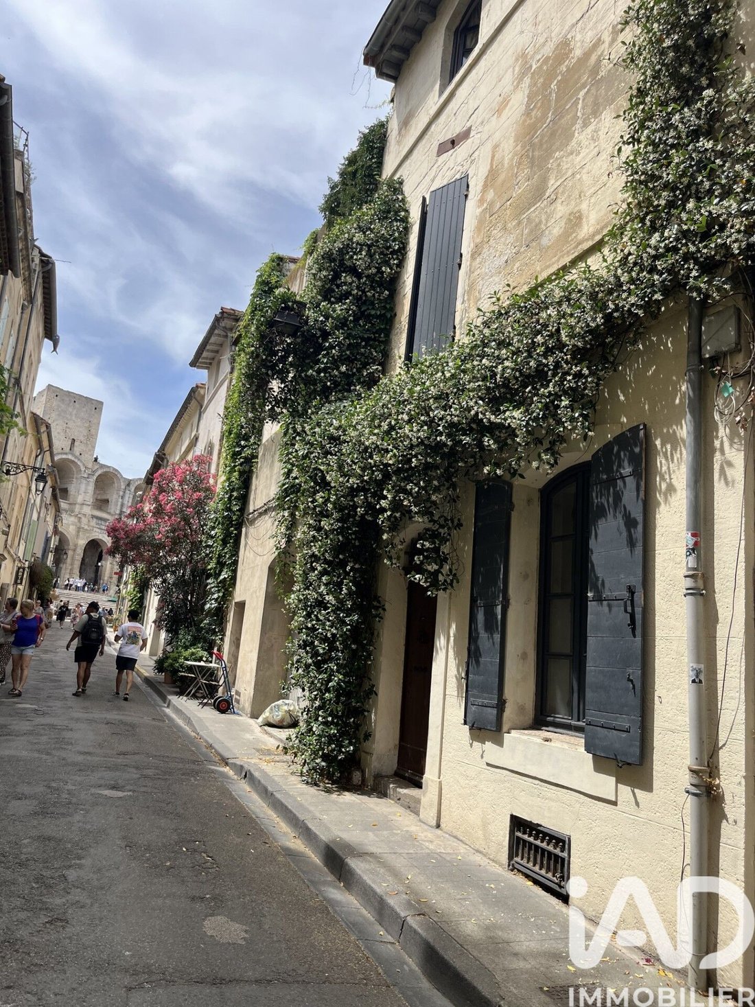 House in Arles, Provence-Alpes-Côte d'Azur, France 1 - 18221844