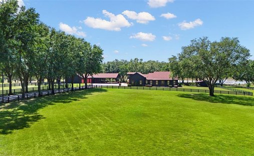 House in Winter Garden, Florida, United States 1