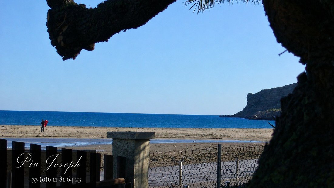 Land in Leucate, Occitania, France 3 - 17986709