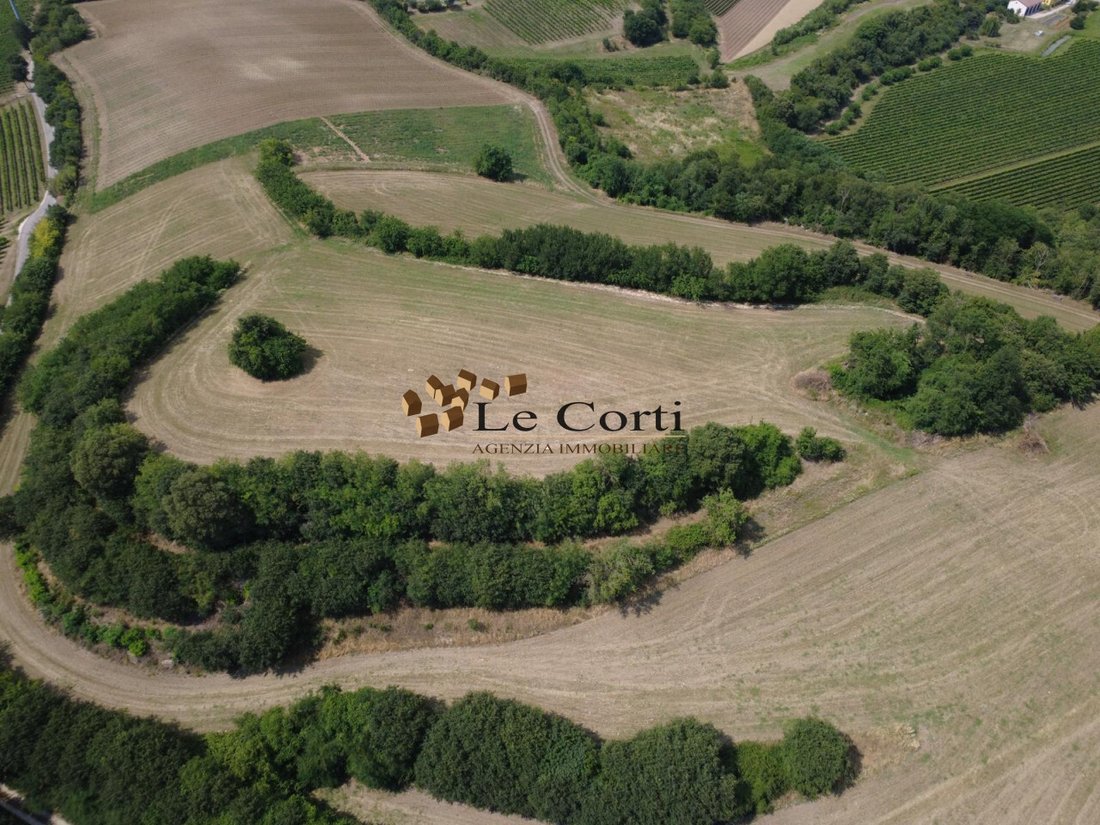 Land in Villaga, Veneto, Italy 5 - 18221302