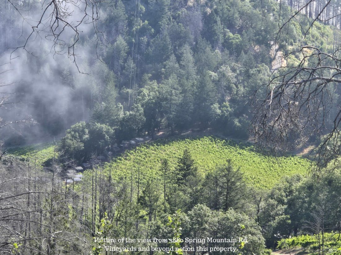 House in St. Helena, California, United States 2 - 15966747