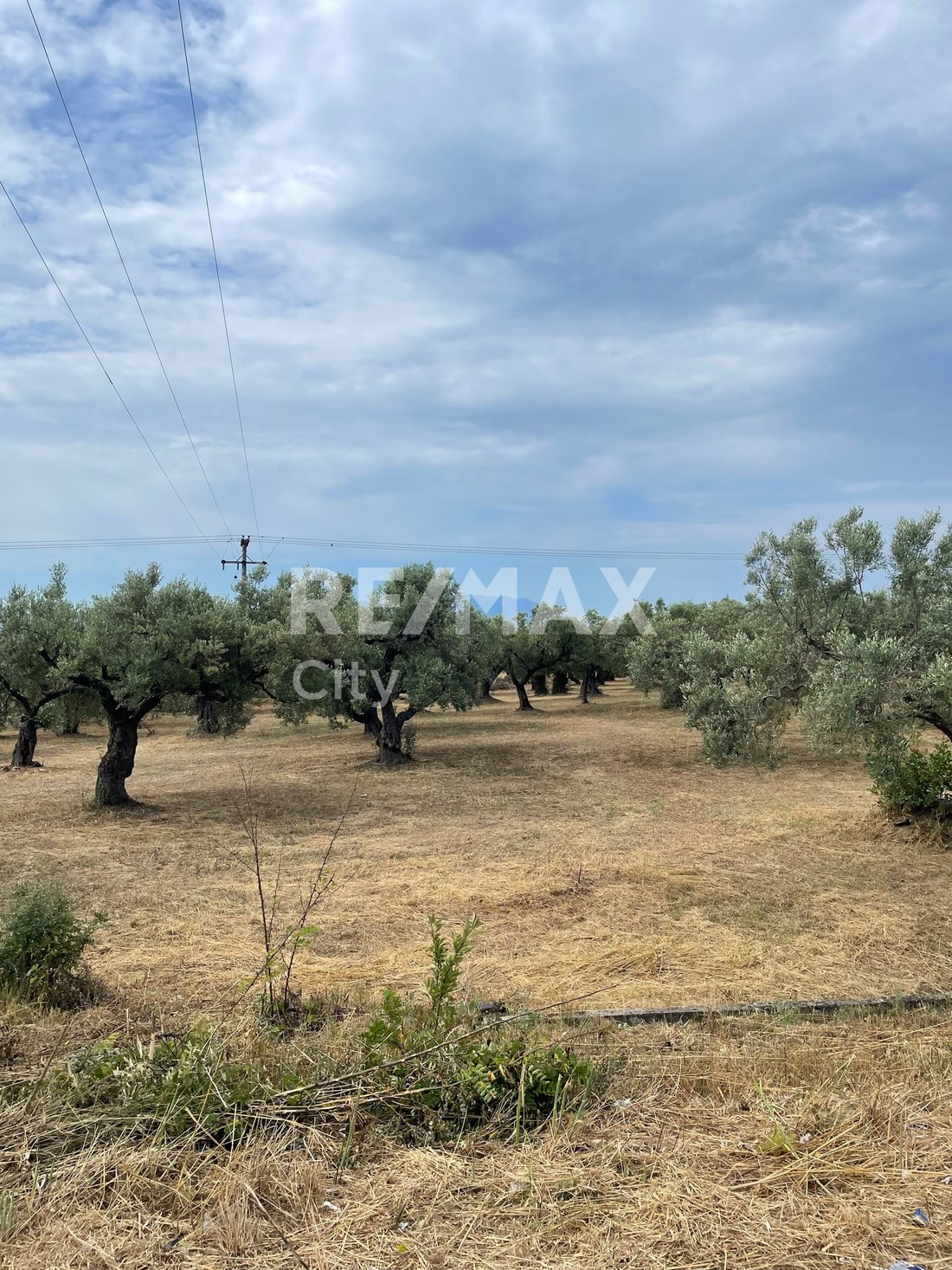 Land in Alexandroupoli, Macedonia and Thrace, Greece 3 - 18211491