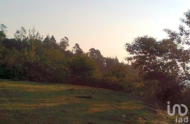 Land in San Martín Texmelucan de Labastida, Puebla, Mexico 2 - 18223836