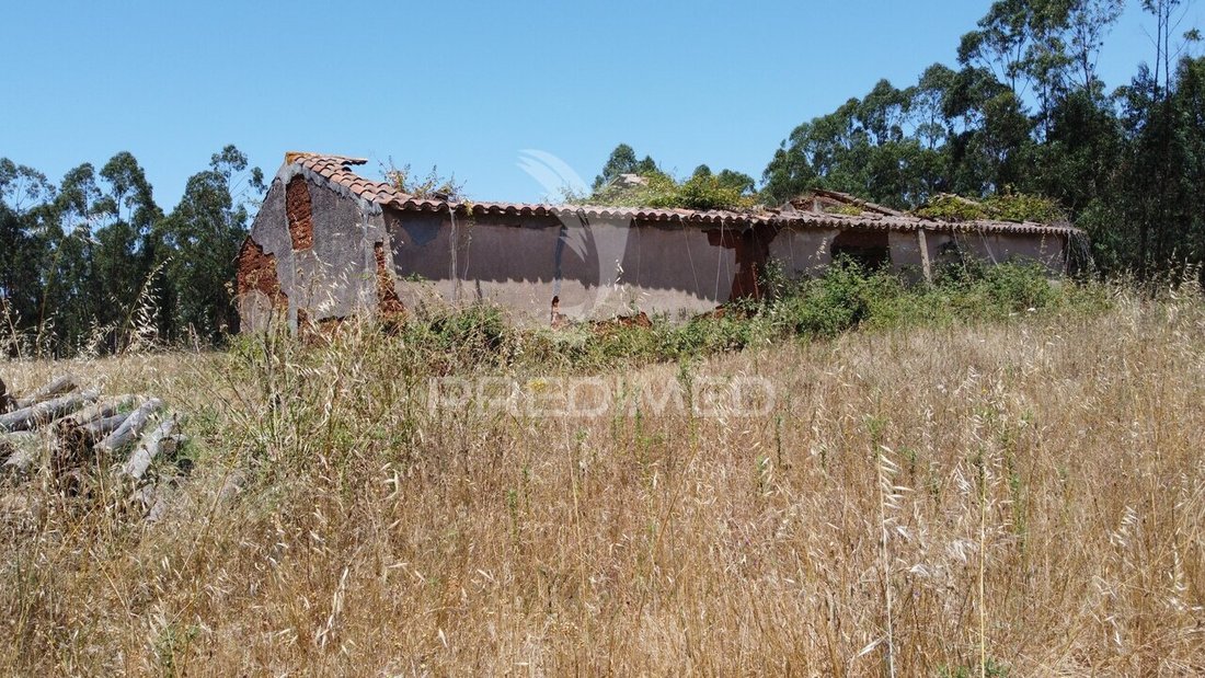 Farm Ranch in Sao Salvador e Santa Maria, Beja, Portugal 5 - 18220686