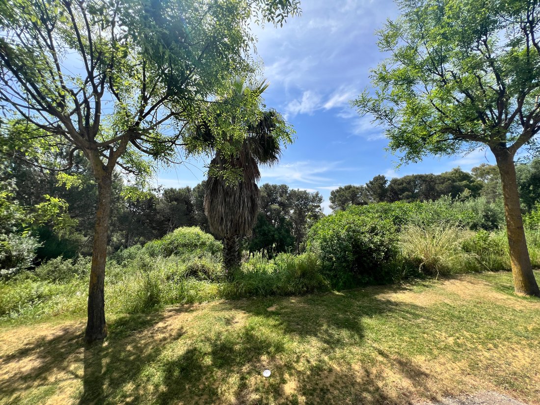 Land in Sotogrande, San Roque, Andalusia 4 - 18221639
