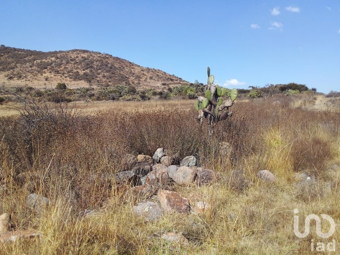 Land in Polotitlán de la Ilustración, State of Mexico, Mexico 5 - 18223843