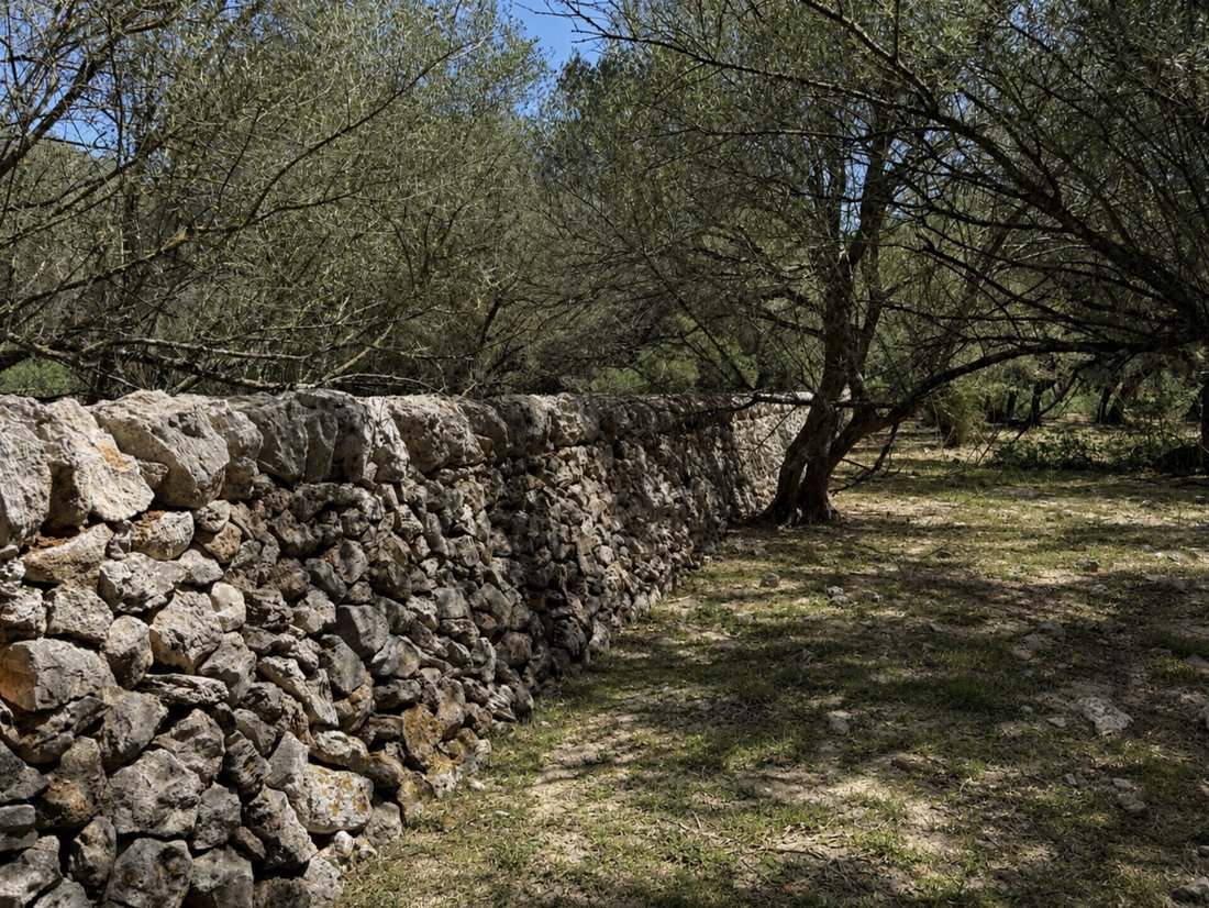 Land in Felanitx, Balearic Islands, Spain 2 - 18222339