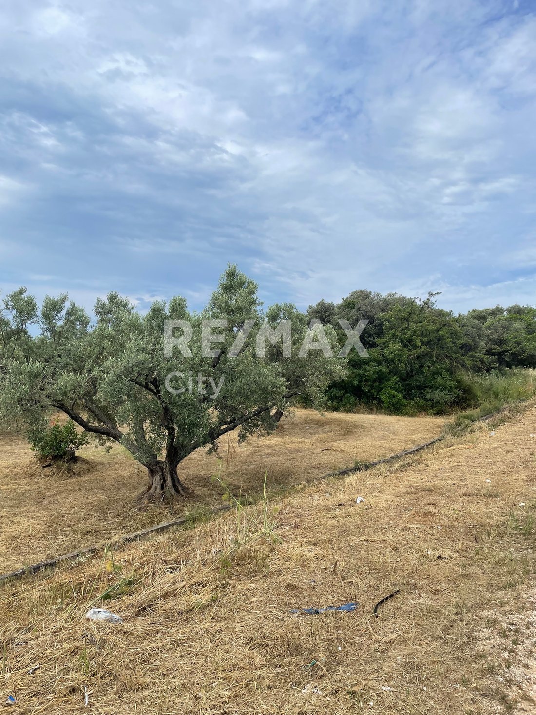 Land in Alexandroupoli, Macedonia and Thrace, Greece 2 - 18211491