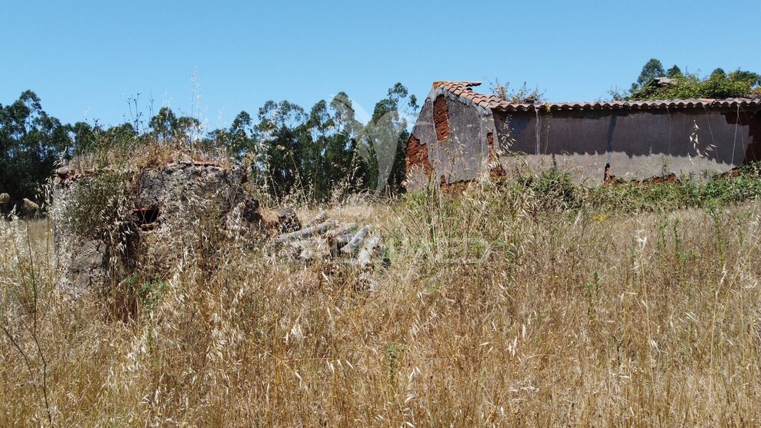 Farm Ranch in Sao Salvador e Santa Maria, Beja, Portugal 4 - 18220686