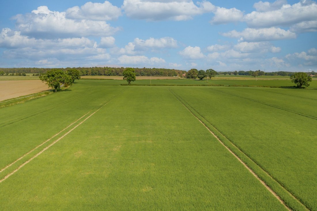 Land in York, England 1 - 18222457