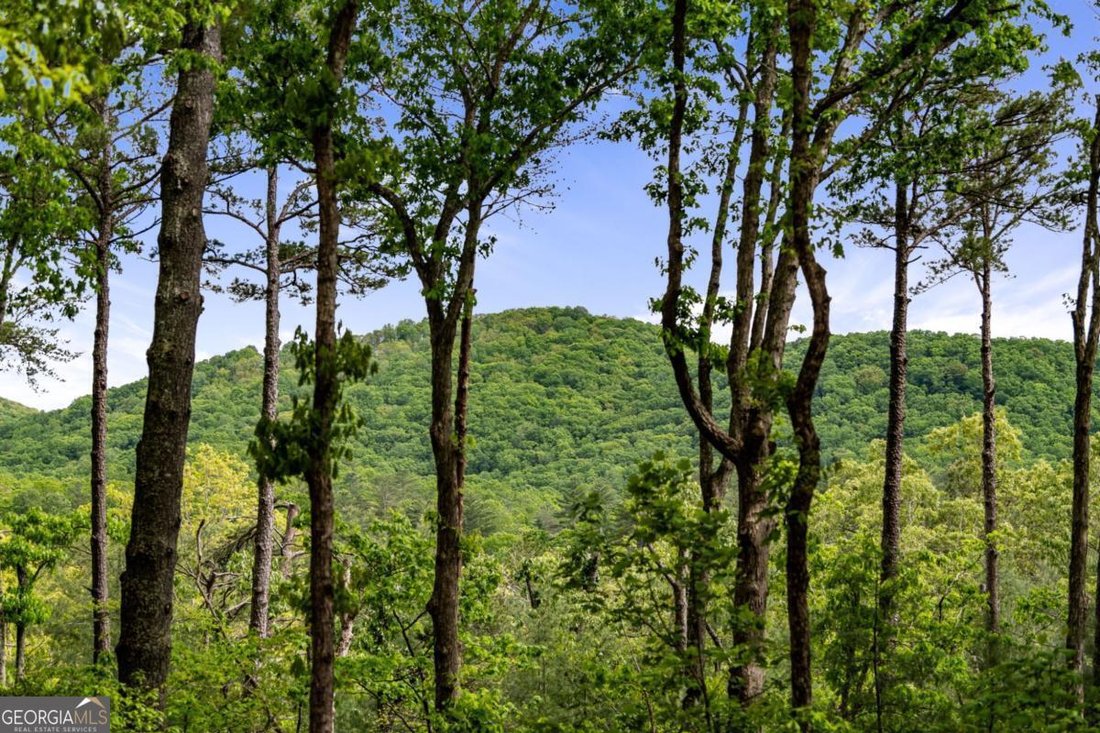 House in Ellijay, Georgia, United States 2 - 18223177