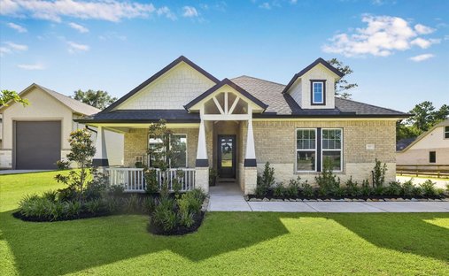 House in Magnolia, Texas, United States 1