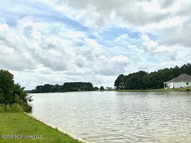 House in Madison, Mississippi, United States 2 - 18215273
