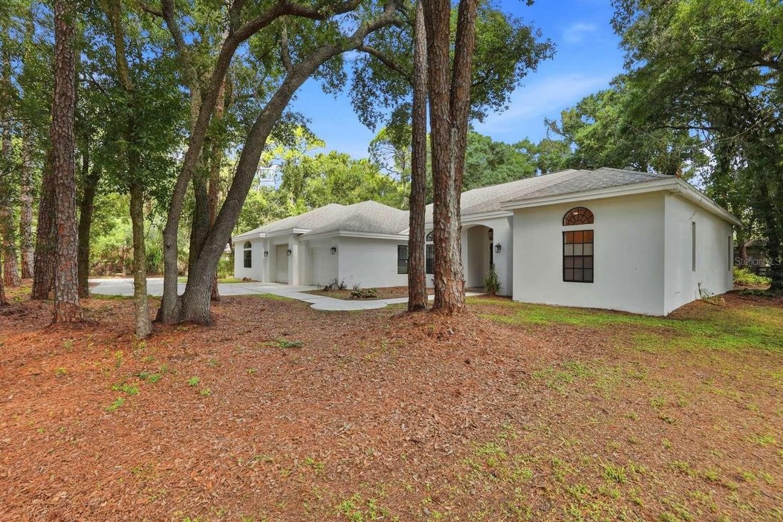 House in Pinellas Park, Florida, United States 4 - 18222917