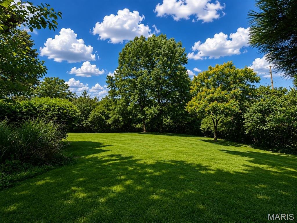 House in Kirkwood, Missouri, United States 4 - 18222599