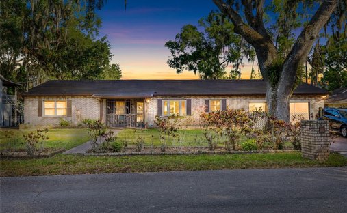 House in Odessa, Florida, United States 1