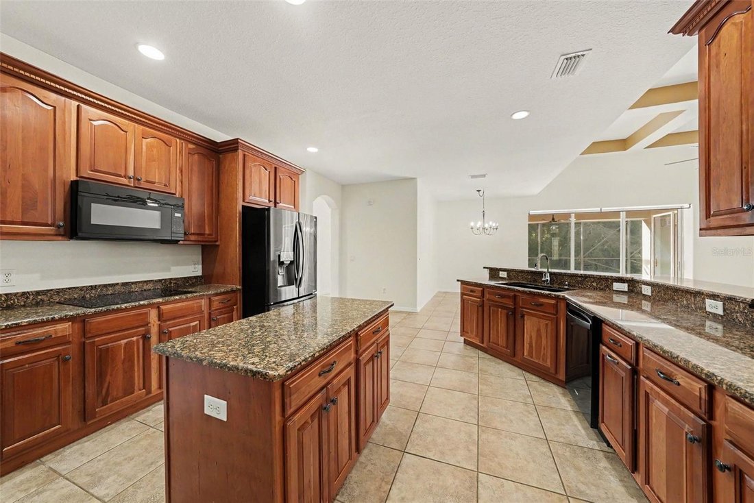 House in Odessa, Florida, United States 3 - 18222880