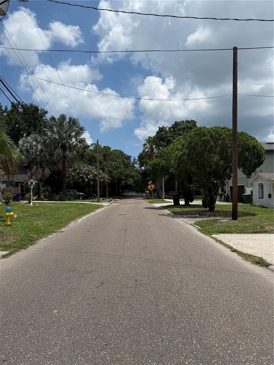 House in Tampa, Florida, United States 3 - 18203786