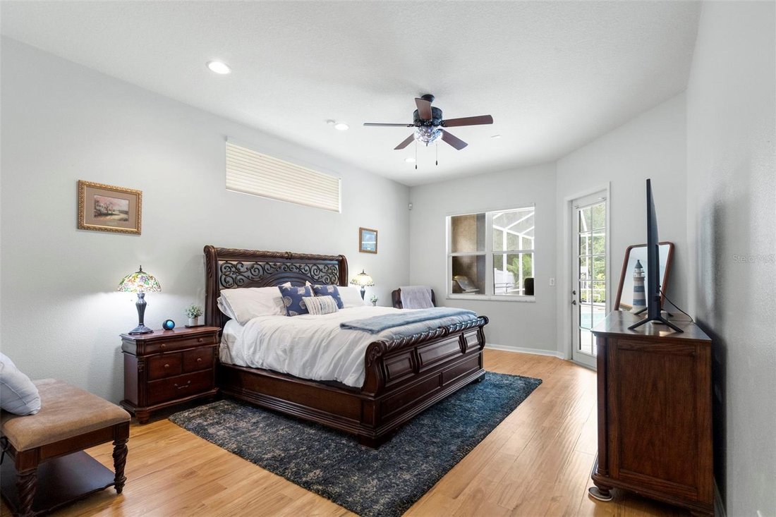 House in Tampa, Florida, United States 3 - 18233814