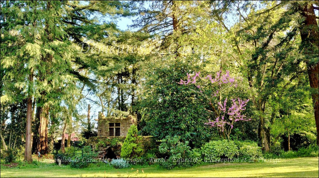 House in Saint-Mars-la-Jaille, Vallons-de-L'Erdre, France 5 - 18224170