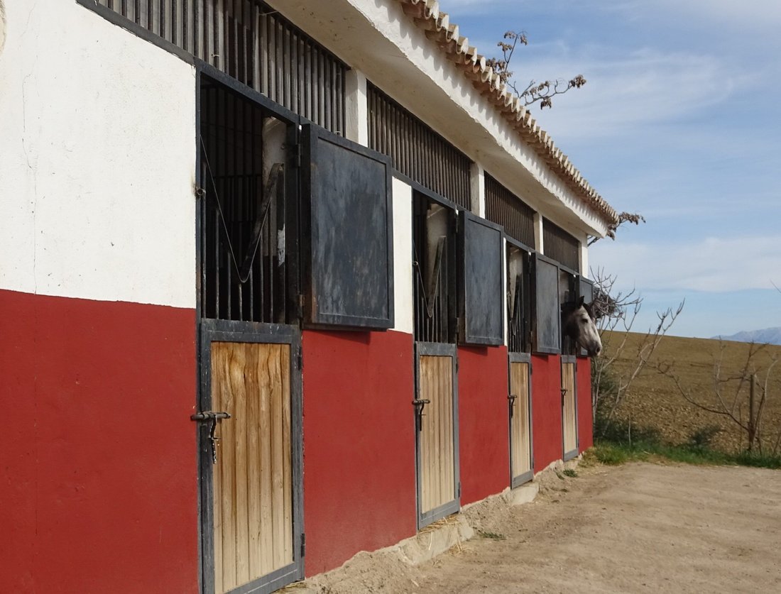 Villanueva de la Concepcion, Andalusia, Spain 4 - 18225892