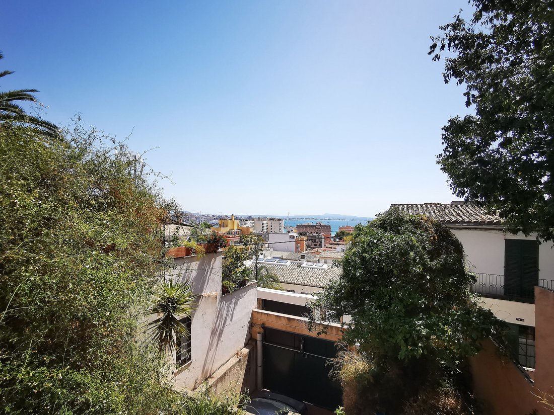 Apartment in Palma, Balearic Islands, Spain 1 - 17775040