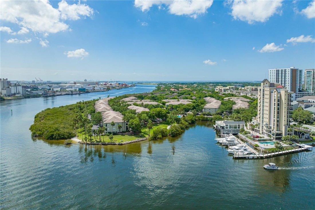 Condo in Tampa, Florida, United States 1 - 18233835