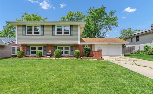 House in Hoffman Estates, Illinois, United States 1